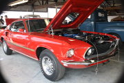 MUSTANG